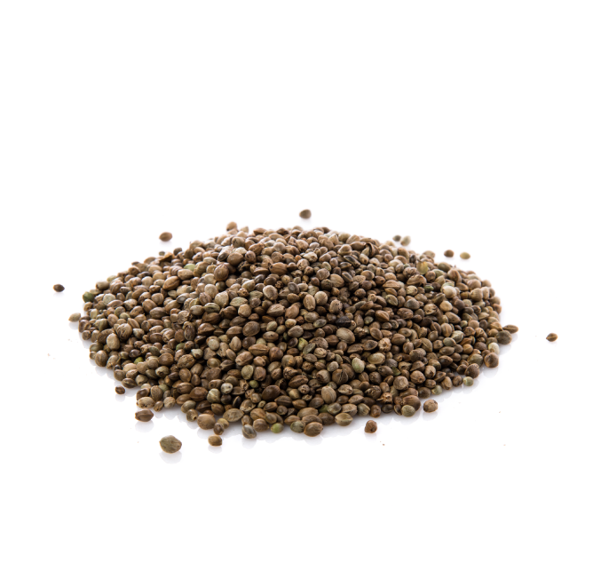 BIOTERRA PRODUCTO CAÑAMO